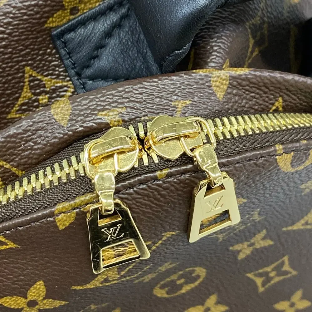 Louis Vuitton Palm Springs Backpack PM Monogram Backpack M41560